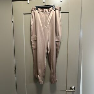 Aritzia Babaton refined cargo pant. Size 12